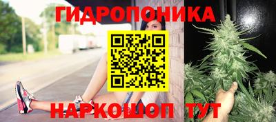 шишки Бугуруслан