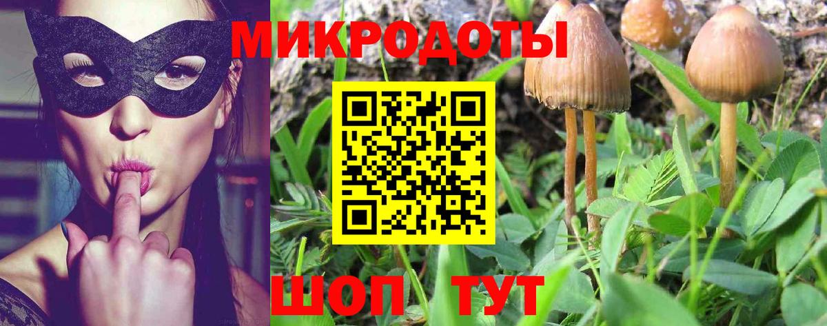 Реутов  Галлюциногенные грибы мицелий  Вход с VPN 