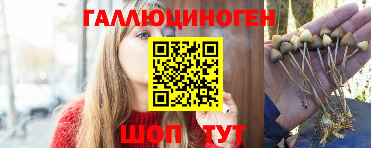 Псилоцибиновые грибы мухоморы Реутов