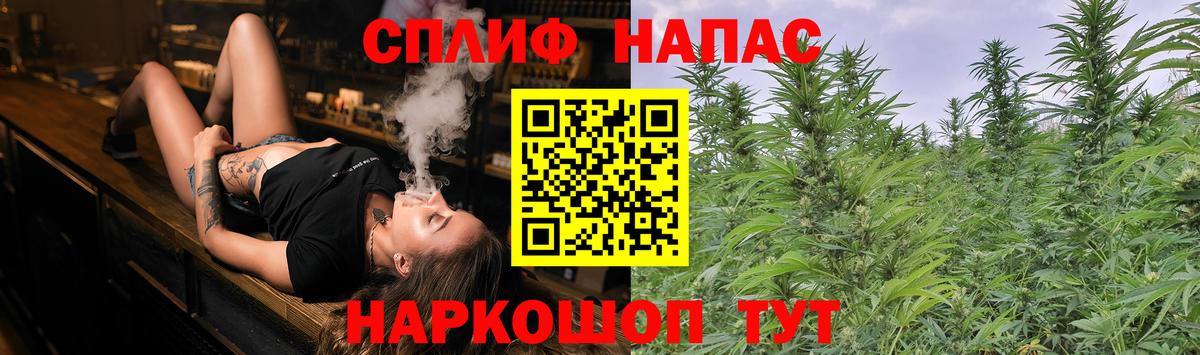 Шишки марихуана MAZAR  Вход с VPN  Канабис план  Бошки марихуана конопля  Реутов 